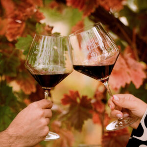 Visita Degustación Bodega Completa Premium